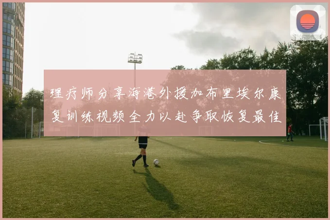 理疗师分享海港外援加布里埃尔康复训练视频全力以赴争取恢复最佳状态