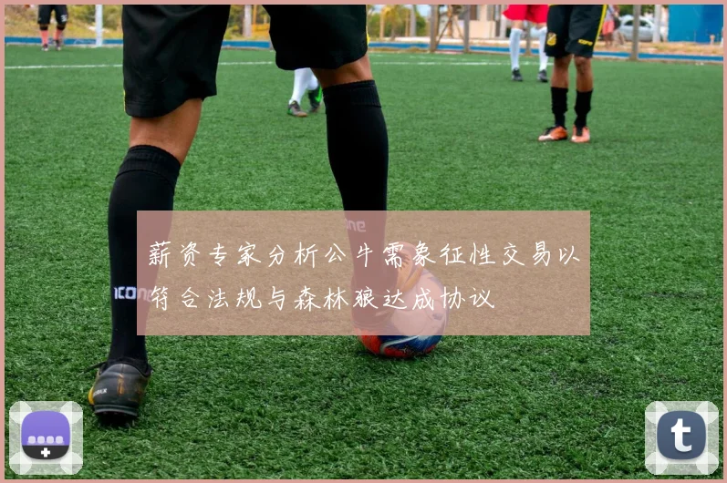 薪资专家分析公牛需象征性交易以符合法规与森林狼达成协议